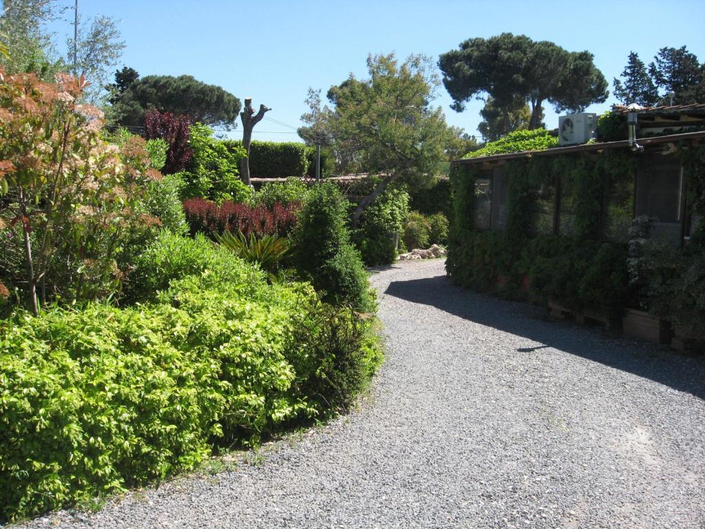 Country Apartments Castel di Decima Zewnętrze zdjęcie